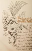 Arany balladái Zichy Mihály rajzaival IV. köt. [Címlapon: Arany János Kilencz balladája. Zichy Mihál...