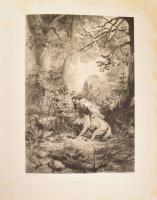 Arany balladái Zichy Mihály rajzaival IV. köt. [Címlapon: Arany János Kilencz balladája. Zichy Mihál...