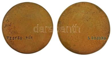 Várhelyi György (1942-) DN "Fészek Bridzs" egyoldalas bronz emlékérem, hátoldalán "LE...