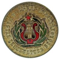 DN (~1965-1970) "25 év a Magyar Zenekultura Szolgálatában" zománcozott bronz jelvény (29mm) T:AU,XF patina