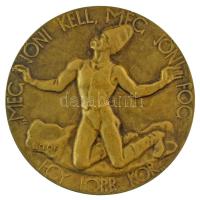 Beck Ö. Fülöp (1873-1945) 1921. "Még jőni kell, még jőni fog egy jobb kor / Lesz még egyszer ünnep a világon" bronz emlékérem, Éremkedvelők Egyesületének tagsági érme, peremén "ÉKE 1921", sorszámozott, "30"-es sorszámmal (60mm) T:AU, patina / Hungary 1921. "Még jőni kell, még jőni fog egy jobb kor / Lesz még egyszer ünnep a világon" bronze commemorative medallion, membership medal of the Association of Medal Enthusiasts, with "ÉKE 1921" and serial number "30" on edge Sign: "Fülöp Beck Ö." (60mm) C:AU, patina Adamo ÉKE20, HP.: 918.