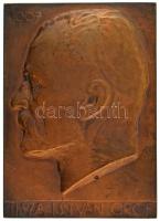 Beck Ötvös Fülöp (1873-1945) 1907. "Tisza István gróf" egyoldalas bronz plakett (76x54mm) T:AU,XF / Hungary 1907. "Tisza István gróf" one-sided bronze plaque. Sign.: "Fülöp Beck Ötvös" (76x54mm) C:AU,XF HP.: 866.
