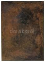 Beck Ötvös Fülöp (1873-1945) 1907. "Tisza István gróf" egyoldalas bronz plakett (76x54mm) ...