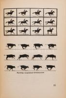 Hevesy Iván: A filmjáték esztétikája és dramaturgiája. Élet és Tudomány. Bp., Athenauem. Kiadói papí...