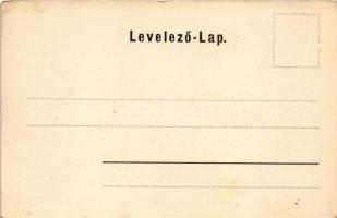 Hőgyész, látkép kelet felé, Mühlberg. Fleischmann Jónás kiadása (fl)