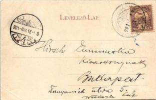 1901 Hódmezővásárhely, Kaszinó. Reisz bazár kiadása, Plohn J. műterméből. Art Nouveau (fa)