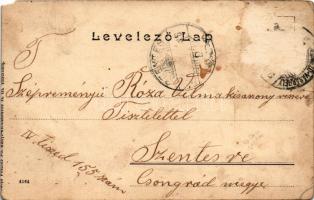 1901 Hódmezővásárhely, Erzsébet kerti vigadó. Posztós Pál kiadása (EM)