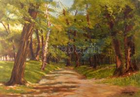 Chiovini jelzéssel: Erdei sétány. Olaj, farost. 42x60 cm