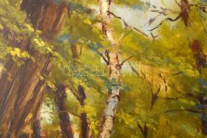 Chiovini jelzéssel: Erdei sétány. Olaj, farost. 42x60 cm