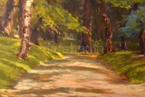 Chiovini jelzéssel: Erdei sétány. Olaj, farost. 42x60 cm