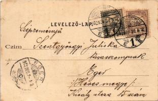 1902 Hódmezővásárhely, részlet az Erzsébet sétányból a színkörrel, színház. Grossmann Benedek utóda ...