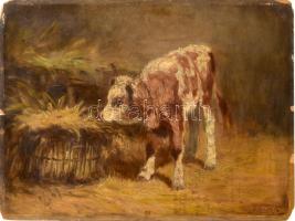 E Illés A jelzéssel: Boci. Olaj, karton, restaurált, szélén sérült, 33×44 cm