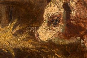 E Illés A jelzéssel: Boci. Olaj, karton, restaurált, szélén sérült, 33×44 cm