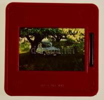 ca 1938-1960 A Kismarty-Lechner család családi filmhagyatéka. Több tekercs 18 mm-es film családi ese...