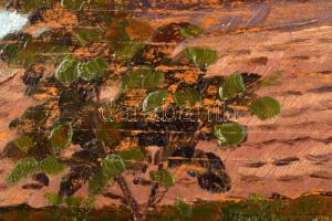 Turmayer jelzéssel: Nagytétény, 1918. Olaj, falemez, fakeretben, 40×53 cm