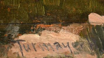 Turmayer jelzéssel: Nagytétény, 1918. Olaj, falemez, fakeretben, 40×53 cm