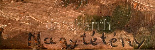 Turmayer jelzéssel: Nagytétény, 1918. Olaj, falemez, fakeretben, 40×53 cm