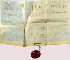 1873 Lechner Károly (1850-1922) orvos, egyetemi tanár, Lechner Ödön testvére, orvosi diplomája Kruppa János és Kaincz Gyula aláírásával. Pergamen, szép állapotú viaszpecséttel.