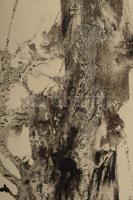 Vinkler László (1912-1980): Szikla és fenyő. Tus, papír. Jelzés nélkül, hátoldalán Vinkler László au...