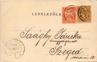 1902 Kiskundorozsma (Szeged), "Nem fúj a szél, nem forog a dorozsmai szélmalom". Tajthy Jó...