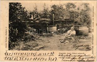 1899 Neogrády Antal - Falusi széptevők. Magyar Művészet XIX. Károlyi György kiadása (fl)