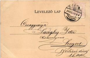 1899 Neogrády Antal - Falusi széptevők. Magyar Művészet XIX. Károlyi György kiadása (fl)