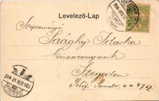 1904 Fehértemplom, Ung. Weisskirchen, Bela Crkva; Villa Danicza-Traján. P. Kuhn kiadása / villa (EK)