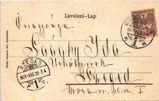 1901 Szabadka, Subotica; Főgimnázium. Szecessziós címeres litho keret / grammar school. Art Nouveau ...