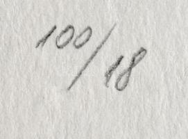 Párkányi Raab Péter (1967-): Csiga. Cinkográfia, papír, jelzett, számozott: 100/18, 30x29 cm