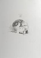 Párkányi Raab Péter (1967-): Csiga. Cinkográfia, papír, jelzett, számozott: 100/16, lap tetején apró elszíneződéssel, 30x29 cm.