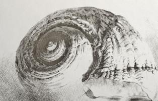 Párkányi Raab Péter (1967-): Csiga. Cinkográfia, papír, jelzett, számozott: 100/16, lap tetején apró...