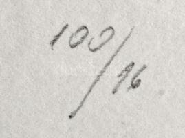 Párkányi Raab Péter (1967-): Csiga. Cinkográfia, papír, jelzett, számozott: 100/16, lap tetején apró...