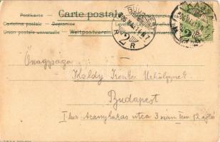 1906 Kassa, Kosice; Dóm és Orbán torony. Nyulászi Béla kiadása, szecessziós-virágos litho keret / ca...