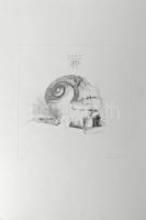 Párkányi Raab Péter (1967-): Csiga. Cinkográfia, papír, jelzett, számozott: 100/13, lapon apró elszíneződéssel, 30x29 cm.