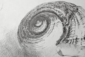 Párkányi Raab Péter (1967-): Csiga. Cinkográfia, papír, jelzett, számozott: 100/13, lapon apró elszí...