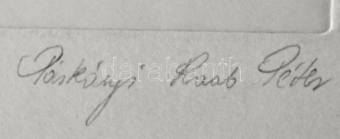 Párkányi Raab Péter (1967-): Csiga. Cinkográfia, papír, jelzett, számozott: 100/13, lapon apró elszí...