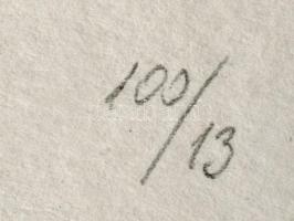 Párkányi Raab Péter (1967-): Csiga. Cinkográfia, papír, jelzett, számozott: 100/13, lapon apró elszí...