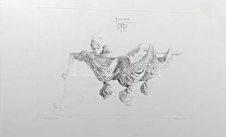 Párkányi Raab Péter (1967-): Leány gyöngysorral. Cinkográfia, papír, jelzett, számozott: 100/23, 30x41 cm.