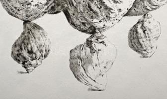 Párkányi Raab Péter (1967-): Leány gyöngysorral. Cinkográfia, papír, jelzett, számozott: 100/23, 30x...