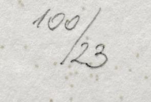 Párkányi Raab Péter (1967-): Leány gyöngysorral. Cinkográfia, papír, jelzett, számozott: 100/23, 30x...