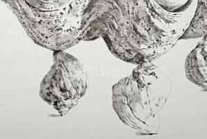 Párkányi Raab Péter (1967-): Leány gyöngysorral. Cinkográfia, papír, jelzett, számozott: 100/25, 30x...