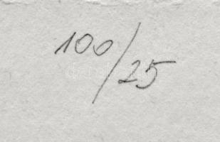 Párkányi Raab Péter (1967-): Leány gyöngysorral. Cinkográfia, papír, jelzett, számozott: 100/25, 30x...