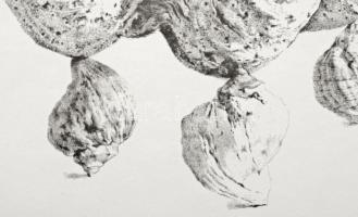 Párkányi Raab Péter (1967-): Leány gyöngysorral. Cinkográfia, papír, jelzett, számozott: 100/25, 30x...