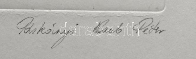 Párkányi Raab Péter (1967-): Leány gyöngysorral. Cinkográfia, papír, jelzett, számozott: 100/25, 30x...