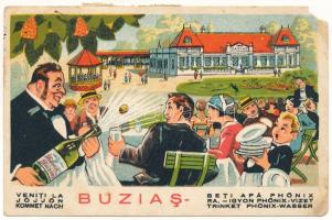 1934 Buziásfürdő, Baile Buzias; Jöjjön, igyon Phönix vizet! reklámlap a kaszinóval, vendégekkel és pincérekkel / Kommet nach, trinket Phönix-Wasser / Veniti La Beti Apa Phönix / mineral water advertisement, casino guests and waiters. litho (EM)