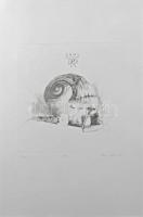 Párkányi Raab Péter (1967-): Csiga. Cinkográfia, papír, jelzett, számozott: 100/14, 30x29 cm.