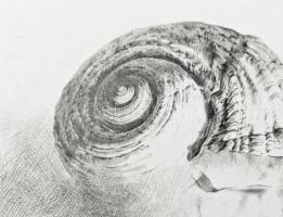 Párkányi Raab Péter (1967-): Csiga. Cinkográfia, papír, jelzett, számozott: 100/14, 30x29 cm