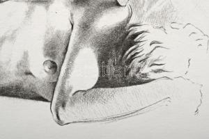 Párkányi Raab Péter (1967-): Csiga. Cinkográfia, papír, jelzett, számozott: 100/14, 30x29 cm