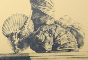 Párkányi Raab Péter (1967-): A gyöngy születése. Cinkográfia, papír, jelzett, számozott: 100/32, 52x...