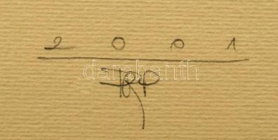 Párkányi Raab Péter (1967-): A gyöngy születése. Cinkográfia, papír, jelzett, számozott: 100/32, 52x...